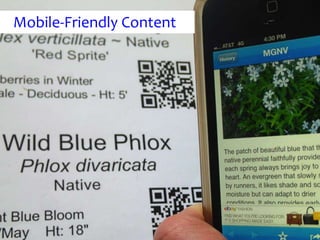 Mobile-Friendly Content
 