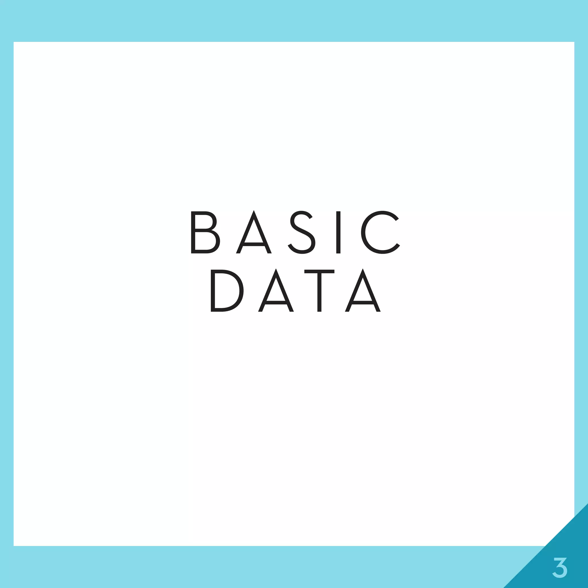 3
B A S I C
D ATA
 