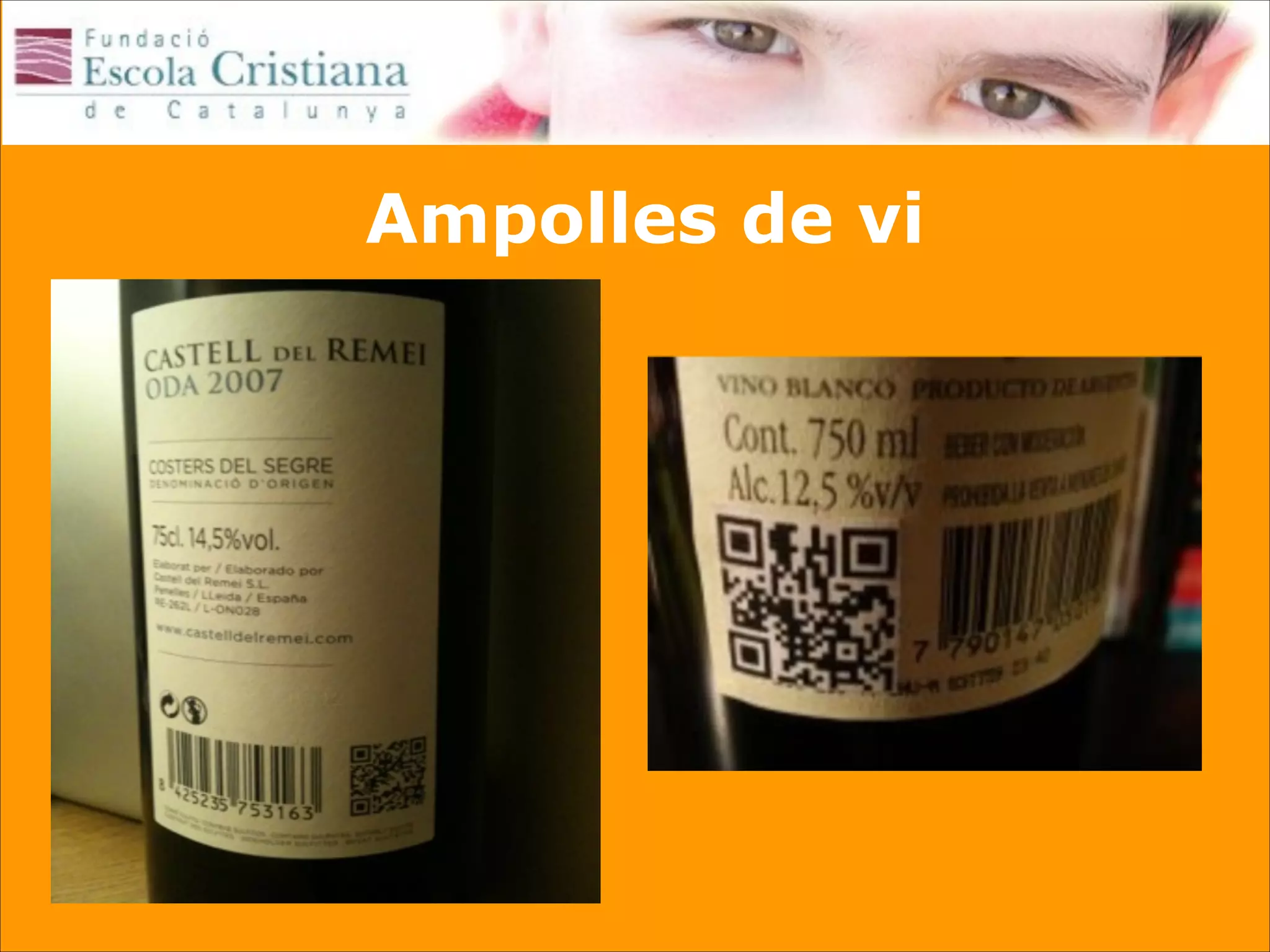 Ampolles de vi

 