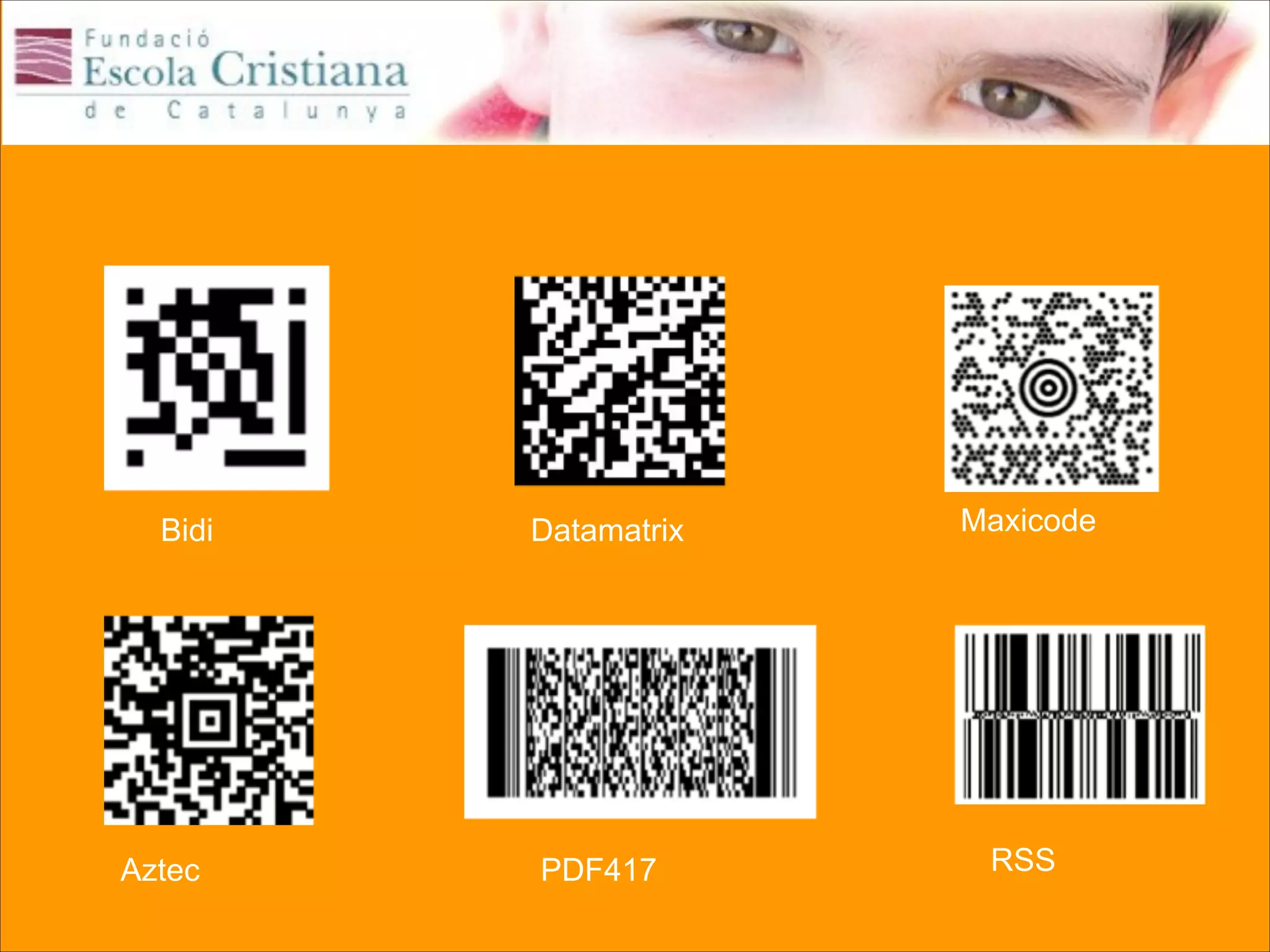 Bidi

Aztec

Datamatrix

Maxicode

PDF417

RSS

 