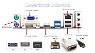 Conectores PS2
(Mouse y Teclado)
Conector de video DVI
Conector de video VGA
Conector de video HDMI
Puertos USB Conectores de Audio
Puerto LAN o de RED
 