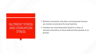 NUTRIENT STRESS
ANDSTARVATION
STRESS
 Nutrient starvation and other environmental stresses
are routine occurrences for most bacteria.
 microbes are most frequently found in a state of
nutrient starvation or stress-induced slow growth or no
growth.
 