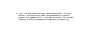 • E. coli, even under aerobic conditions, synthesizes two distinct cytochrome
oxidases — cytochrome o (cyo operon) and cytochrome d (cyd operon)—
produced under high O2 and low O2 conditions, respectively. Under anaerobic
conditions, at least five more terminal oxidoreductases can be produced.
 