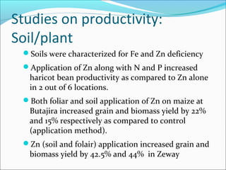 Soils were characterized for Fe and Zn deficiency
Application of Zn along with N and P increased
haricot bean productivity as compared to Zn alone
in 2 out of 6 locations.
Both foliar and soil application of Zn on maize at
Butajira increased grain and biomass yield by 22%
and 15% respectively as compared to control
(application method).
Zn (soil and folair) application increased grain and
biomass yield by 42.5% and 44% in Zeway
Studies on productivity:
Soil/plant
 