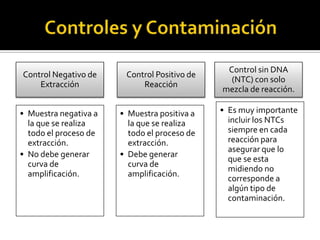 Control sin DNA
Control Negativo de     Control Positivo de
                                                (NTC) con solo
    Extracción              Reacción
                                              mezcla de reacción.

• Muestra negativa a   • Muestra positiva a   • Es muy importante
  la que se realiza      la que se realiza      incluir los NTCs
  todo el proceso de     todo el proceso de     siempre en cada
  extracción.            extracción.            reacción para
                                                asegurar que lo
• No debe generar      • Debe generar
                                                que se esta
  curva de               curva de
                                                midiendo no
  amplificación.         amplificación.
                                                corresponde a
                                                algún tipo de
                                                contaminación.
 