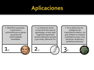 • Identificar pequeñas    • La utilización de las      • En la detención de
     mutaciones o         curvas de fusión para el         patógenos de
polimorfismos en genes    genotipaje, ya que cada    importancia medica, con
      causantes de         fragmento generado         gran énfasis en ensayos
     enfermedades        tendría diferente tamaño     cuantitativos para virus,
       heredadas.        y por ende, diferente Tm.     bacterias, levaduras y
                                                        parásitos protozoos.



1.                       2.                          3.
 