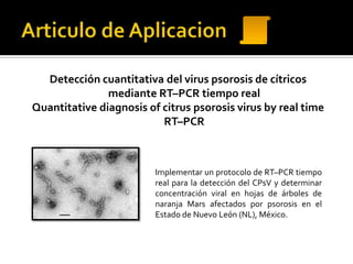 Detección cuantitativa del virus psorosis de cítricos
               mediante RT–PCR tiempo real
Quantitative diagnosis of citrus psorosis virus by real time
                          RT–PCR



                         Implementar un protocolo de RT–PCR tiempo
                         real para la detección del CPsV y determinar
                         concentración viral en hojas de árboles de
                         naranja Mars afectados por psorosis en el
                         Estado de Nuevo León (NL), México.
 