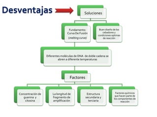 Desventajas                                        Soluciones



                                      Fundamento:             Buen diseño de los
                                     Curva De Fusión             cebadores y
                                                             condiciones optimas
                                      (melting curve)            de reacción




                      Diferentes moléculas de DNA de doble cadena se
                               abren a diferente temperaturas




                                       Factores


   Concentración de       La longitud de             Estructura            Factores químicos
                                                                           que hacen parte de
      guanina y           fragmento de              secundaria y          los componentes de
       citosina           amplificación               terciaria                 reacción
 