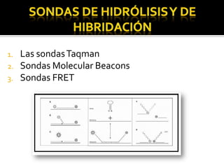 1.   Las sondas Taqman
2.   Sondas Molecular Beacons
3.   Sondas FRET
 