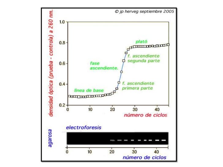 Qrt pcr final