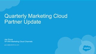 Quarterly Marketing Cloud
Partner Update
Joe Gruca
VP WW Marketing Cloud Channels
jgruca@salesforce.com
 