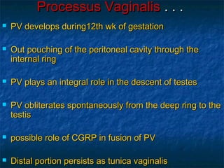 Processus VaginalisProcessus Vaginalis . . .. . .
 PV develops during12th wk of gestationPV develops during12th wk of gestation
 Out pouching of the peritoneal cavity through theOut pouching of the peritoneal cavity through the
internal ringinternal ring
 PV plays an integral role in the descent of testesPV plays an integral role in the descent of testes
 PV obliterates spontaneously from the deep ring to thePV obliterates spontaneously from the deep ring to the
testistestis
 possible role of CGRP in fusion of PVpossible role of CGRP in fusion of PV
 Distal portion persists as tunica vaginalisDistal portion persists as tunica vaginalis
 