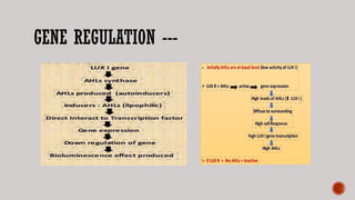 GENE REGULATION ---
 