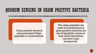 QUORUM SENSING IN GRAM POSITIVE BACTERIA
Gram positive bacteria
uses processed Oligo-
peptides to communicate.
The oligo peptides are
used as autoinducers in
gram positive bacteria are
not of lipophilic nature so
they need channelnor
carriers to get
transported.
 