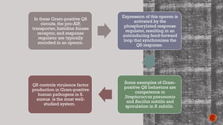 In these Gram-positive QS
circuits, the pro-AIP,
transporter, histidine kinase
receptor, and response
regulator are typically
encoded in an operon.
Expression of this operon is
activated by the
phosphorylated response
regulator, resulting in an
autoinducing feed-forward
loop that synchronizes the
QS response.
Some examples of Gram-
positive QS behaviors are
competence in
Streptococcus pneumonia
and Bacillus subtilis and
sporulation in B. subtilis.
QS controls virulence factor
production in Gram-positive
human pathogens in S.
aureus is the most well-
studied system.
 