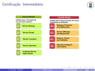Certiﬁca¸c˜ao: Intermedi´ario
C. Bertolini (UFSM) COBIT e ITIL Junho 2018 45 / 49
 