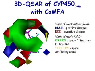 3D-QSAR of CYP450cam 
with CoMFA 
Maps of electrostatic fields: 
BLUE - positive charges 
RED - negative charges 
Maps of steric fields: 
GREEN - space filling areas 
for best Kd 
YELLOW - space 
conflicting areas 
 