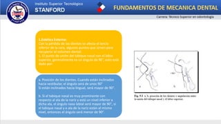 1.Estética Externa:
Con la pérdida de los dientes se afecta el tercio
inferior de la cara, algunos puntos que sirven para
recuperar el volumen dental:
1. El punto de unión del tabique nasal con el labio
superior, generalmente es un ángulo de 90°, esto está
dado por:
a. Posición de los dientes. Cuando están inclinados
hacia vestibular, el ángulo será de unos 90°
Si están inclinados hacia lingual, será mayor de 90°.
b. Si el tabique nasal es muy prominente con
respecto al ala de la nariz y está un nivel inferior a
dicha ala, el ángulo naso labial será mayor de 90°, si
el tabique nasal y e ala de la nariz están al mismo
nivel, entonces el ángulo será menor de 90°.
 