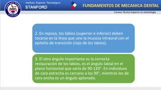 2. En reposo, los labios (superior e inferior) deben
tocarse en la línea que une la mucosa intraoral con el
epitelio de transición (rojo de los labios).
3. El otro ángulo importante es la correcta
restauración de los labios, es el ángulo labial en el
plano horizontal que varía de 90-120°. En individuos
de cara estrecha es cercano a los 90°, mientras los de
cara ancha es un ángulo aplanado.
 