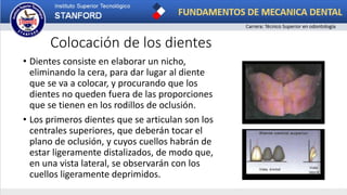 • Dientes consiste en elaborar un nicho,
eliminando la cera, para dar lugar al diente
que se va a colocar, y procurando que los
dientes no queden fuera de las proporciones
que se tienen en los rodillos de oclusión.
• Los primeros dientes que se articulan son los
centrales superiores, que deberán tocar el
plano de oclusión, y cuyos cuellos habrán de
estar ligeramente distalizados, de modo que,
en una vista lateral, se observarán con los
cuellos ligeramente deprimidos.
Colocación de los dientes
 