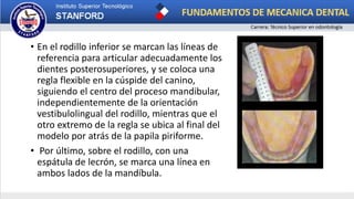 • En el rodillo inferior se marcan las líneas de
referencia para articular adecuadamente los
dientes posterosuperiores, y se coloca una
regla flexible en la cúspide del canino,
siguiendo el centro del proceso mandibular,
independientemente de la orientación
vestibulolingual del rodillo, mientras que el
otro extremo de la regla se ubica al final del
modelo por atrás de la papila piriforme.
• Por último, sobre el rodillo, con una
espátula de lecrón, se marca una línea en
ambos lados de la mandíbula.
 