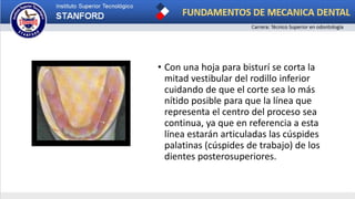 • Con una hoja para bisturí se corta la
mitad vestibular del rodillo inferior
cuidando de que el corte sea lo más
nítido posible para que la línea que
representa el centro del proceso sea
continua, ya que en referencia a esta
línea estarán articuladas las cúspides
palatinas (cúspides de trabajo) de los
dientes posterosuperiores.
 