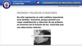 ENCERADO Y TALLADO DE LA FALSA ENCÍA
No sólo representa un valor estético importante,
sino también funcional, porque permite una
mejor estabilización y retención de las prótesis,
en armonía con la función de los músculos que
con ellas toman relación.
 