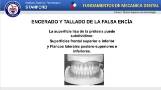 ENCERADO Y TALLADO DE LA FALSA ENCÍA
La superficie lisa de la prótesis puede
subdividirse:
Superficies frontal superior e inferior
y Flancos laterales postero-superiores e
inferiores.
 