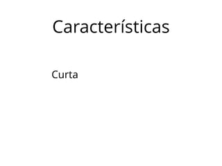 Características 
Curta 
 