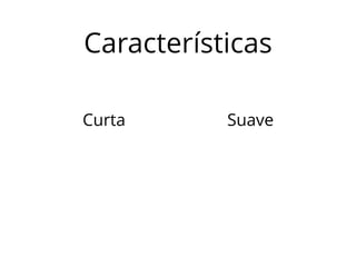 Características 
Curta Suave 
 