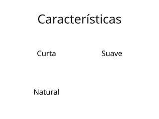 Características 
Curta Suave 
Natural 
 