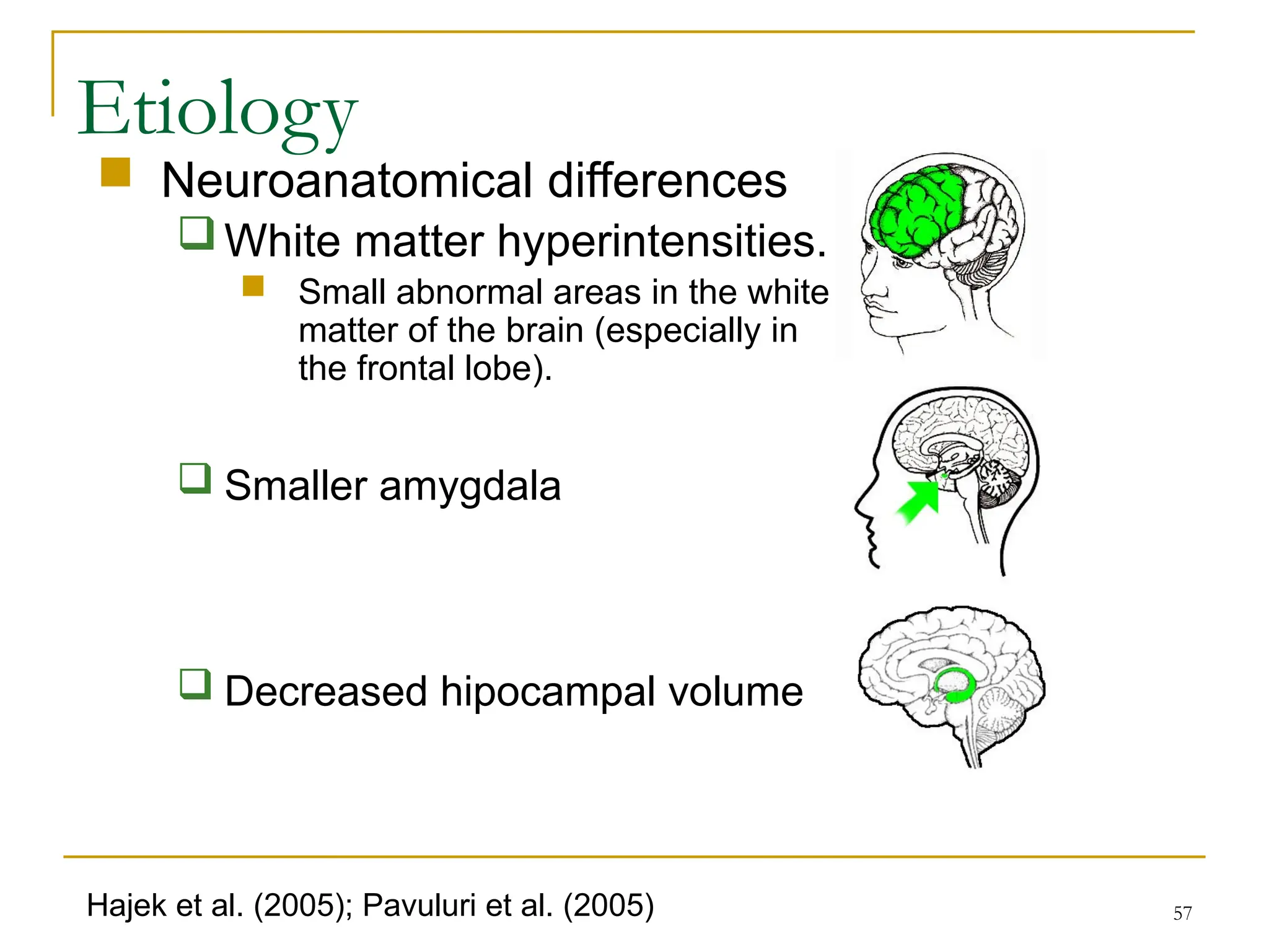 57
 Neuroanatomical differences
White matter hyperintensities.
 Small abnormal areas in the white
matter of the brain (especially in
the frontal lobe).
 Smaller amygdala
 Decreased hipocampal volume
Etiology
Hajek et al. (2005); Pavuluri et al. (2005)
 