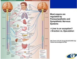 Most organs are
regulated by
Parasympathetic and
Sympathetic Nervous
Systems

Liver is an exception?
Erection vs. Ejaculation



http://www.ncbi.nlm.nih.gov/bookshelf/br.fcgi
?book=neurosci&part=A1394
 