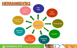 HERRAMIENTAS
                                        Plan
                    Cena de             Total
                    Negocio                                 Club
                                                           de Casa


    Inauguraciones
      de Negocio
                                                                Evaluaciones
                                   Herramientas

        Marketing
         Directo
                                                              Volanteo

                            Días                Desayuno
                        Nutricionales             Ideal
 