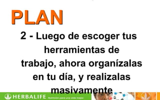 PLAN
2 - Luego de escoger tus
     herramientas de
trabajo, ahora organízalas
   en tu día, y realizalas
       masivamente
 
