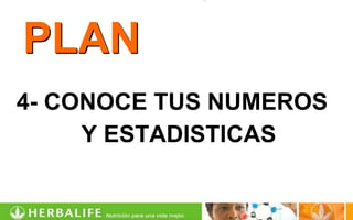 PLAN
4- CONOCE TUS NUMEROS
     Y ESTADISTICAS
 