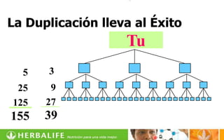 La Duplicación lleva al Éxito
                   Tu
  5   3
 25    9
125   27
155   39
 