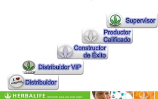 Supervisor
                            Productor
                            Calificado
                  Constructor
                     de Éxito
     Distribuidor VIP

Distribuidor
 