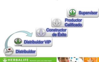 Supervisor
                            Productor
                            Calificado
                  Constructor
                     de Éxito
     Distribuidor VIP

Distribuidor
 
