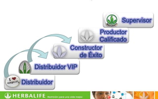 Supervisor
                            Productor
                            Calificado
                  Constructor
                     de Éxito
     Distribuidor VIP

Distribuidor
 