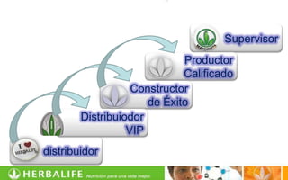 Supervisor
                             Productor
                             Calificado
                   Constructor
                      de Éxito
        Distribuiodor
                  VIP
distribuidor
 