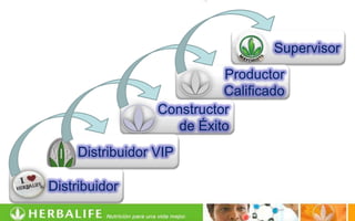 Supervisor
                            Productor
                            Calificado
                  Constructor
                     de Éxito
     Distribuidor VIP

Distribuidor
 