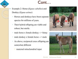 Cont…
 Example 2: Horse (Equus caballus) and
Donkey (Equus asinus)
◦ Horses and donkeys have been separate
species for millions of years.
◦ Their hybrid offspring are viable and
robust, but sterile.
◦ male horse x female donkey --> hinny
◦ male donkey x female horse --> mule
◦ As above, reciprocal cross offspring are
somewhat different
 maternal mitochondrial input
05/16/21 By Asmamaw Menelih 59
 