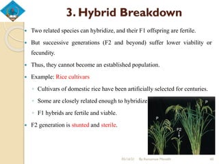 3. Hybrid Breakdown
05/16/21 By Asmamaw Menelih 60
 Two related species can hybridize, and their F1 offspring are fertile.
 But successive generations (F2 and beyond) suffer lower viability or
fecundity.
 Thus, they cannot become an established population.
 Example: Rice cultivars
◦ Cultivars of domestic rice have been artificially selected for centuries.
◦ Some are closely related enough to hybridize.
◦ F1 hybrids are fertile and viable.
 F2 generation is stunted and sterile.
 