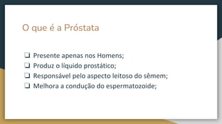 O que é a Próstata
❏ Presente apenas nos Homens;
❏ Produz o líquido prostático;
❏ Responsável pelo aspecto leitoso do sêmem;
❏ Melhora a condução do espermatozoide;
 