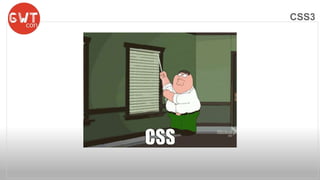CSS3 
 