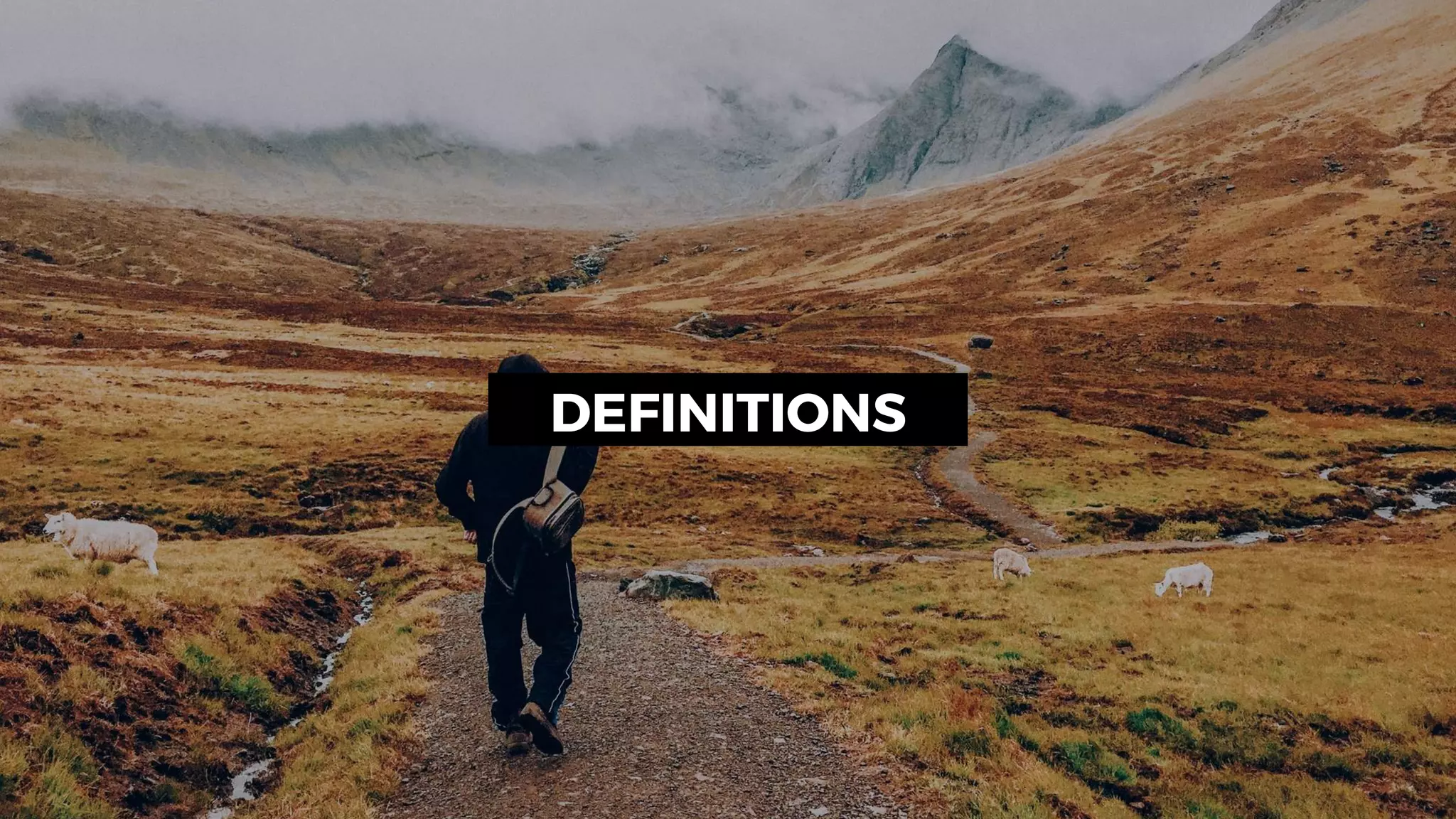 DEFINITIONS
 