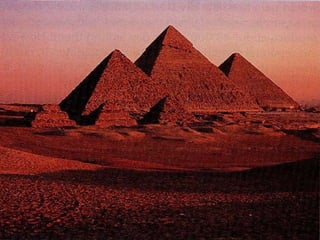 MANAGEMENT
Lê Hồng Phượng 6
 