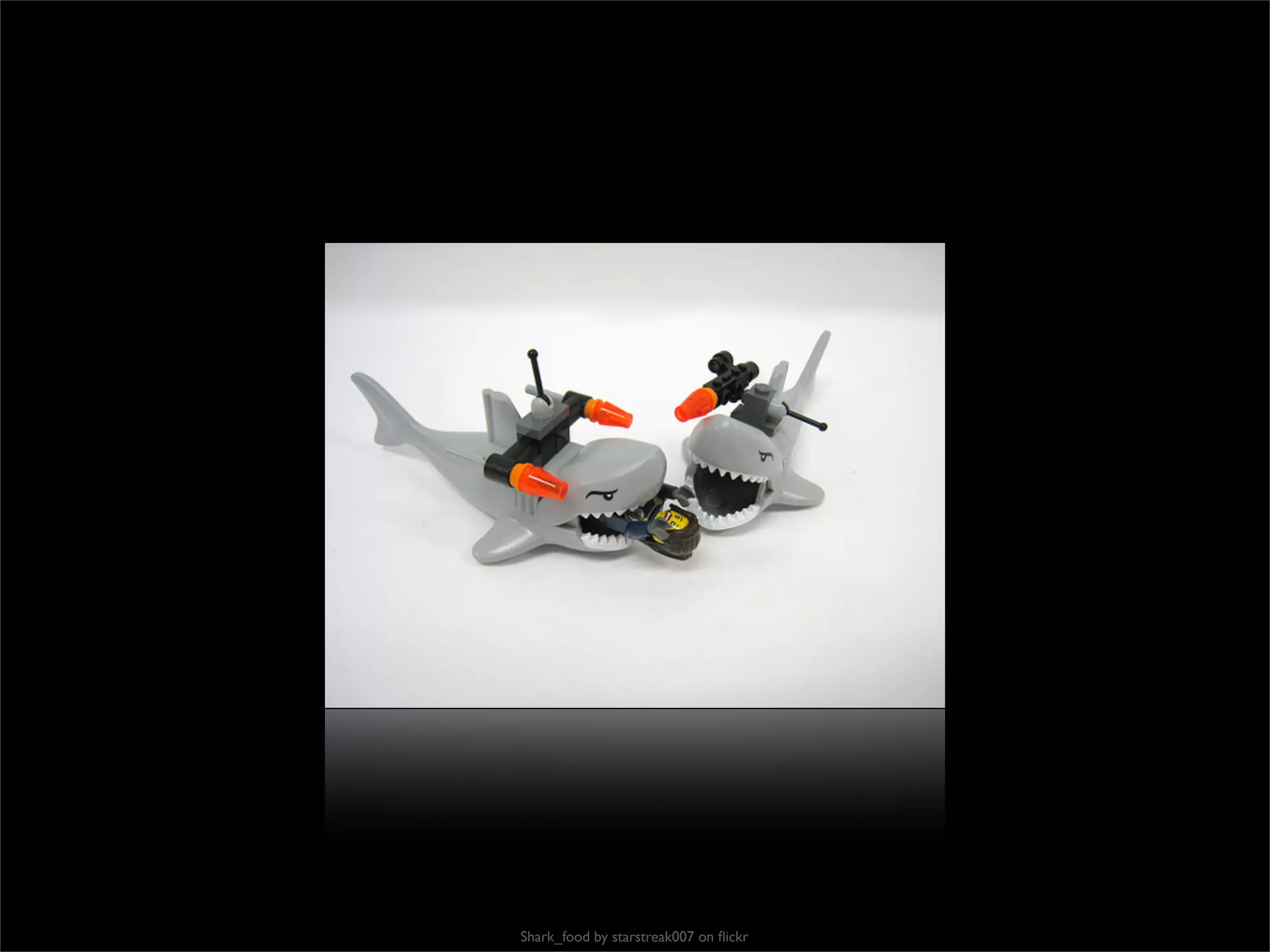 Shark_food by starstreak007 on ﬂickr
 