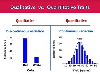 Quantitative trait loci (QTL) analysis and its applications in plant  breeding | PDF